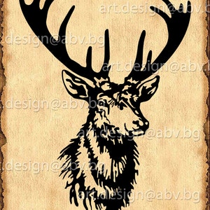 Vector DEER head, AI, eps, pdf, svg, dxf, png, jpg Download, Digital, graphical, discount coupons
