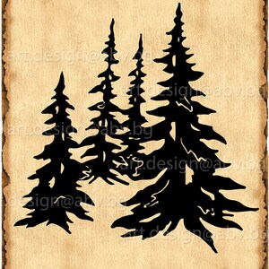 Vector CONIFERS, evergreen, AI, PNG, eps, pdf, svg, dxf, jpg Download, collection, models library, discount coupons