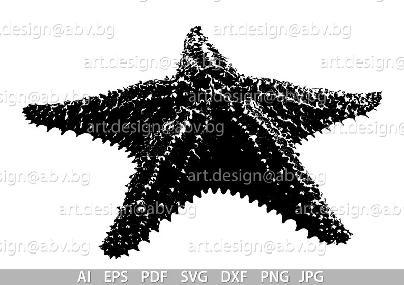 Download Vector STARFISH AI eps pdf PNG svg dxf jpg Image | Etsy