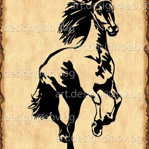 Vector HORSE,  AI, eps, png, pdf, svg, dxf, jpg Download files, Digital, graphical, discount coupons