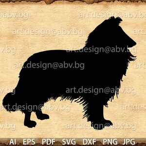 Vector  DOG, collie, AI, eps, PNG, pdf, svg, dxf, jpg Download, Digital image, graphical, dhole, animal, discount coupons
