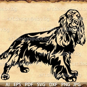 Vector COCKER SPANIEL, dog, pet, ai, eps, SVG, dxf, pdf, png, jpg Download, Digital image, graphical, animal, discount coupons