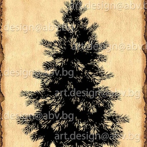 Vector CONIFER, evergreen, AI, eps, pdf, PNG, svg, dxf, jpg Download Artwork, graphical, discount coupons