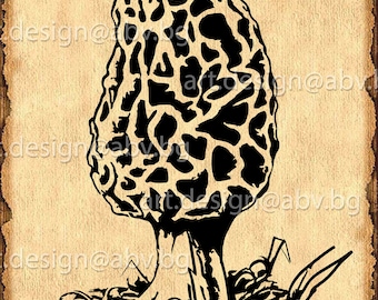Vector MUSHROOM, Download, Digital image, graphical, AI, PNG, pdf, eps, svg, dxf, jpg, discount coupons