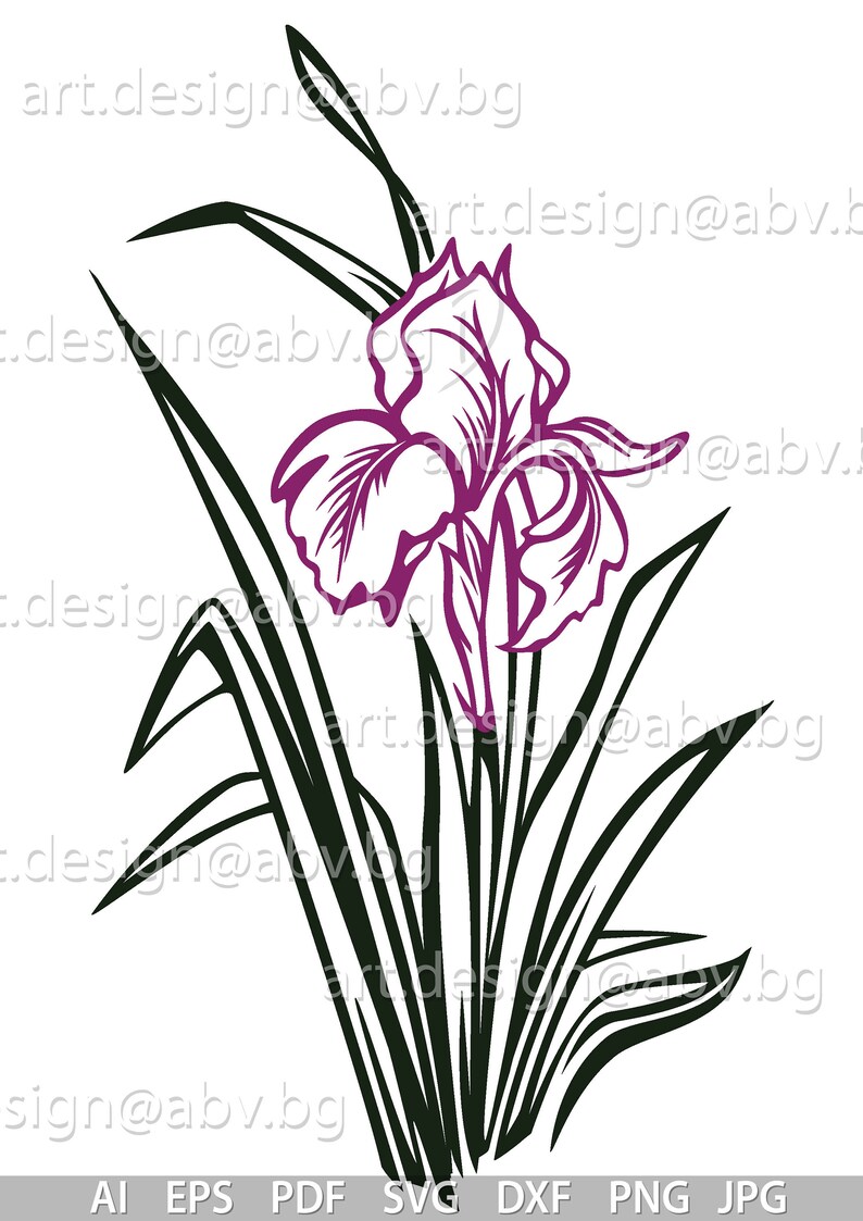 Free Free 115 Iris Flower Svg SVG PNG EPS DXF File