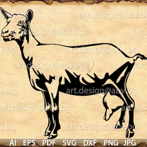 Vector SAANEN GOAT, AI, png, eps, pdf, svg, dxf, jpg Instant Download, graphical image Art Print, animal, Digital image