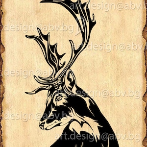 Vector FALLOW DEER head, AI, eps, pdf, svg, dxf, png, jpg Download, Digital, graphical, discount coupons