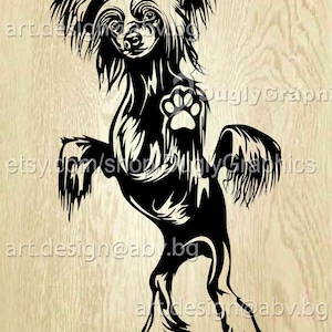 Vector CHINESE KUIF, hond, ai, eps, SVG, dxf, pdf, png, jpg downloaden, digitaal beeld, grafisch, dier, kortingsbonnen