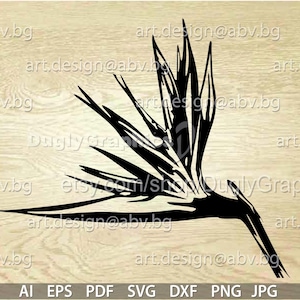 Strelitzia tattoo - Etsy.de