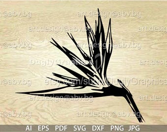 Illustrazione vettoriale di Strelitzia: grafica floreale (download digitale)