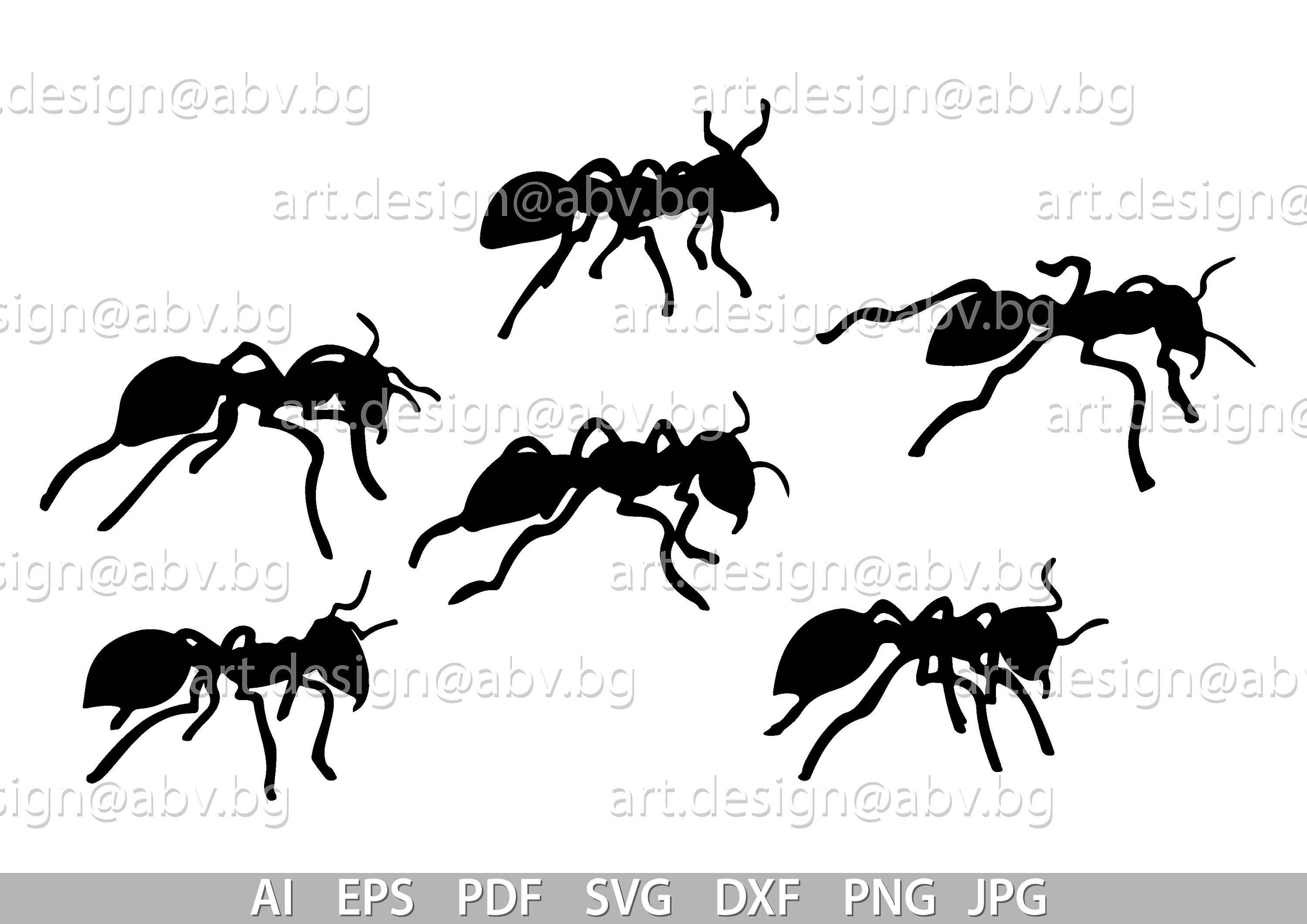 Ant Vector Graphics: Ai, Svg, Eps, Pdf, Dxf, Png, Jpg (digital Download ...