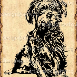 Vector DOG, Maltese, SVG, ai, png, pdf, eps, dxf, jpg Download, Digital image, graphical, animal, discount coupons