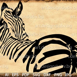 Vector ZEBRA, AI, eps, pdf, SVG, dxf, png, jpg Download, Digital image, graphical image, discount coupons