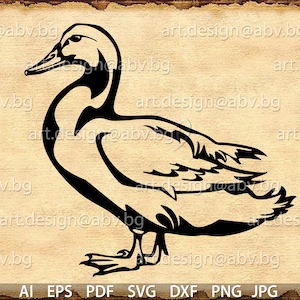 Vector PEKIN DUCK, AI, eps, pdf, png, svg, dxf, jpg Image Graphic Digital Download Artwork, graphical, discount coupons