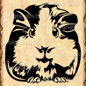 May include: Black and white silhouette of a guinea pig with large eyes and a small nose. The guinea pig is facing forward and has a fluffy appearance.