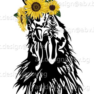 Vector POLLO con girasoles, gallo, cabeza, AI, PNG, eps, pdf, SVG, DXF, JPG Descarga instantánea, Impresión artística, SVG gallina con girasol