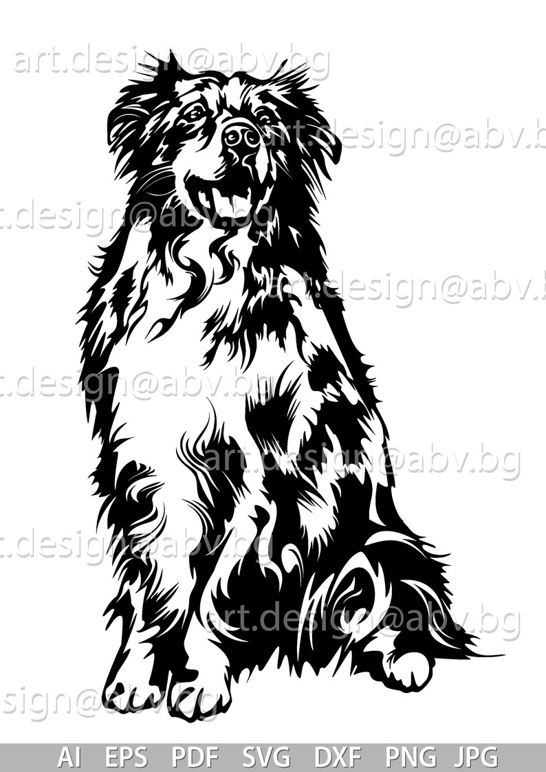Vector AUSTRALIAN SHEPHERD dog SVG ai png pdf eps dxf | Etsy