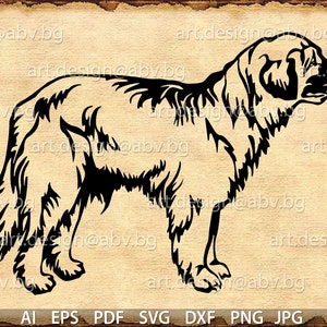 Vector LEONBERGER, dog, SVG, ai, png, pdf, eps, dxf, jpg Download, Digital image, graphical, animal, long hair, discount coupons
