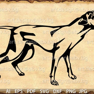 Vector DOG pig dog AI png pdf eps svg dxf jpg Download Digital image Bull Arab working dog