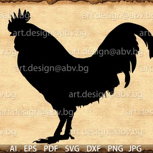 Vector ROOSTER, cock, AI, PNG, eps, pdf, svg, dxf, jpg Download, Digital image, graphical, animal, bird, discount coupons