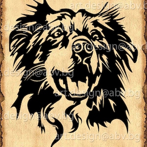 Vector AUSTRALIAN SHEPHERD, dog, SVG, ai, png, pdf, eps, dxf, jpg Download, Digital image, graphical, animal, long hair, discount coupons