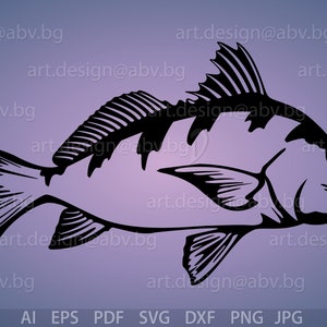 Vector BLACK DRUM FISH, ai, eps, pdf, png, svg, dxf, jpg Image Graphic Digital Download Artwork, graphical, discount coupons