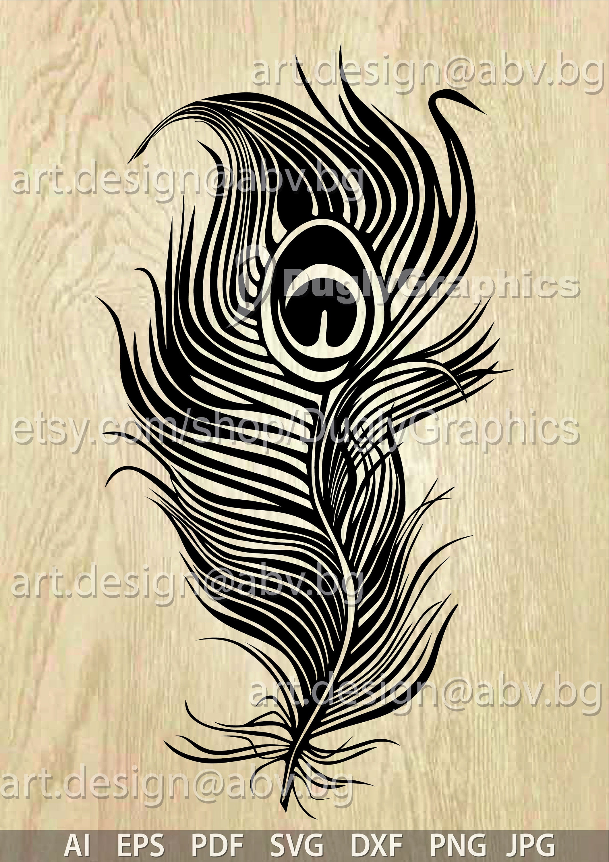 Peacock Feather Vector Graphic (digital Download) - Etsy, image size:2121x3000