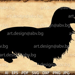 Vector DOG, Long Haired Daschund, AI, PNG, eps, pdf, svg, dxf, jpg Download, graphical, animal, discount coupons