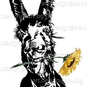 Vector DONKEY with sunflower, AI, PNG, eps, pdf, svg, dxf, jpg, dhole, animal, Digital, graphical, svg donkey, discount coupons