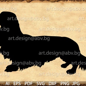 Vector DOG, Long Haired Daschund, ai, eps, pdf, svg, dxf, png, jpg Download, discount coupons