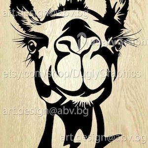 Vector CAMEL head, AI, eps, PNG, pdf, svg, dxf, jpg Download files, Digital, graphical, discount coupons