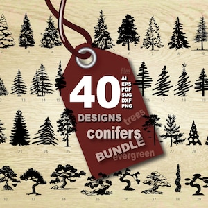 Vector 40 CONIFERS BUNDLE, AI, eps, pdf, svg, dxf, png, jpg Downloads, collection, models library, evergreen