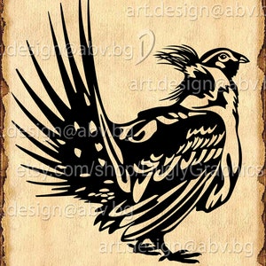 Vector BIRD Ruffed Grouse, AI, eps, pdf, SVG, dxf, png, jpg Download, Digital image, graphical, Bonasa umbellus, discount coupons