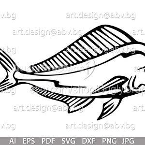 Vector MAHI-MAHI, AI, eps, pdf, png, svg, dxf, jpg Image Graphic Digital Download Artwork, stylized, graphical dolphinfish, ray-finned image 2