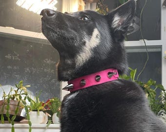 PINK Genuine Leather SPIKED COLLAR Punk Dog Handmade -Seriously Disgusting