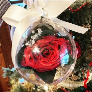 Ornamento completo: Conservazione floreale