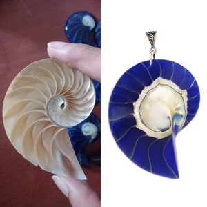 Large Real Nautilus Shell Necklace Pendant in Royal Sapphire Blue Resin Strength, Resilience, Growth Handmade Jewelry image 7