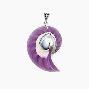 May include: A purple nautilus shell pendant with a silver bail. The shell is polished and has a pearly sheen.