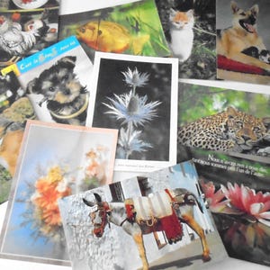 cartes postales tous thèmes  - vacance , monuments , animaux, vue paysage ..... lot de 21 cartes