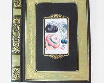 Copertina del libro rilegato effimero per il progetto del diario spazzatura