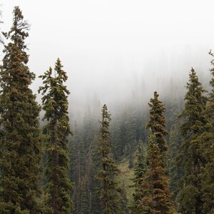 Colorado Photography - Erie Fog