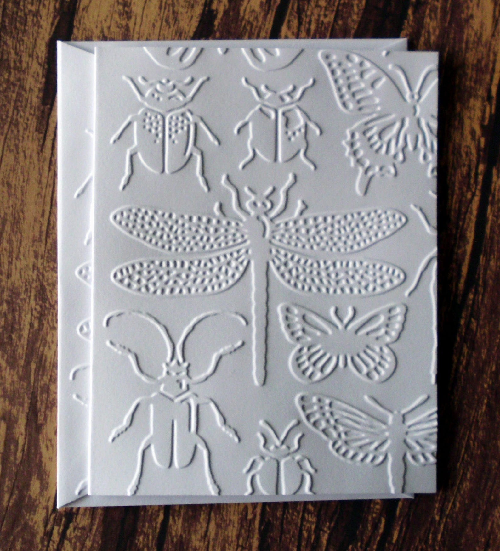 Embossed Insect Cards Set of 5 White Embossed Note Cards Etsy