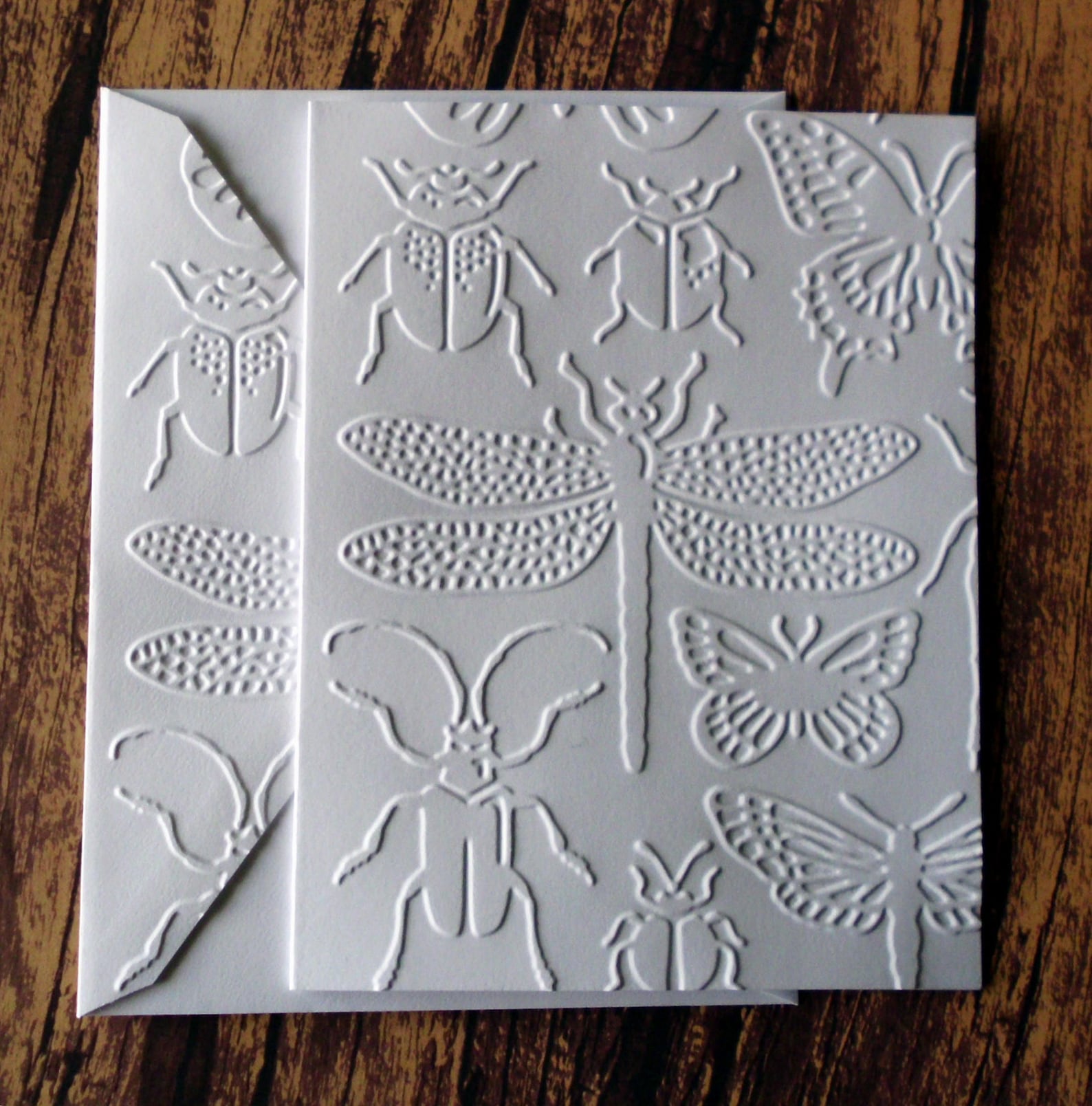 Embossed Insect Cards Set of 5 White Embossed Note Cards Etsy