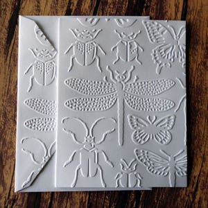 May include: White card with an embossed pattern of insects and butterflies. The insects include dragonflies, beetles, and butterflies. The pattern is repeated throughout the card.