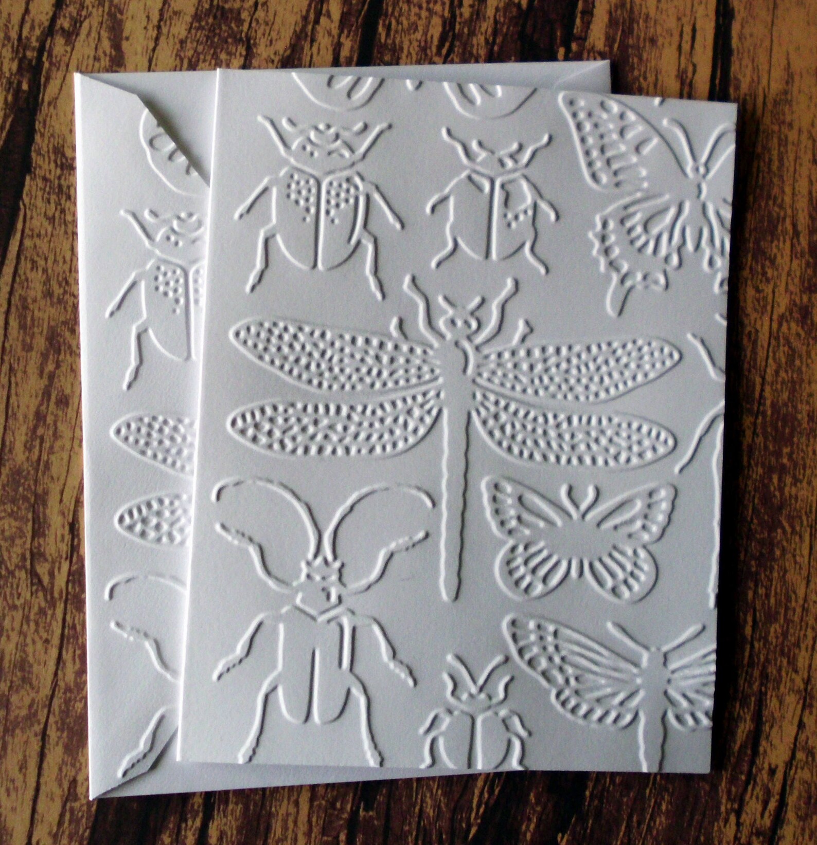 Embossed Insect Cards, Set of 5, White Embossed Note Cards, Gift for ...