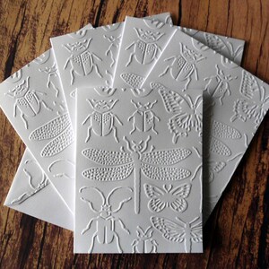 Embossed Insect Cards, Set of 5, White Embossed Note Cards, Gift for ...