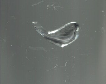 a blue whale