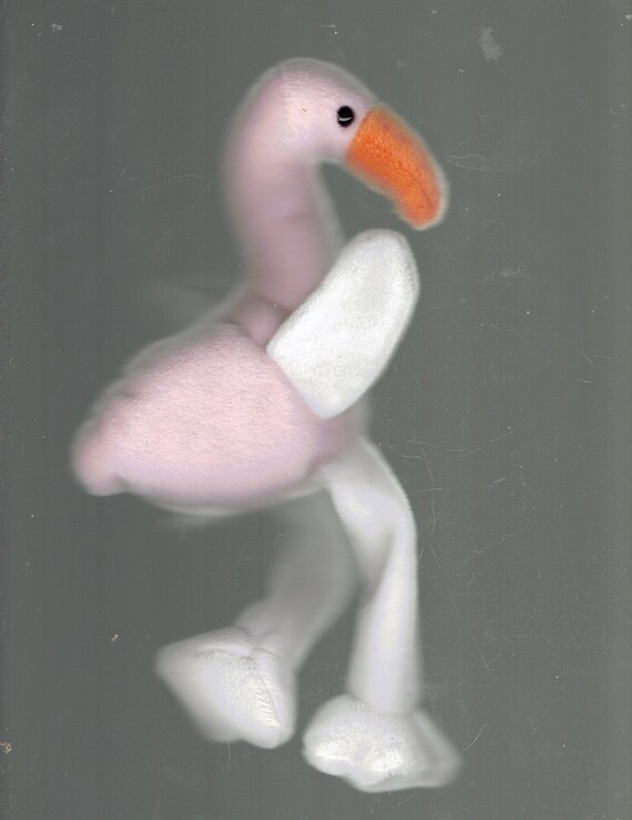 Ty Baby Name Pinky The Flamingo Etsy