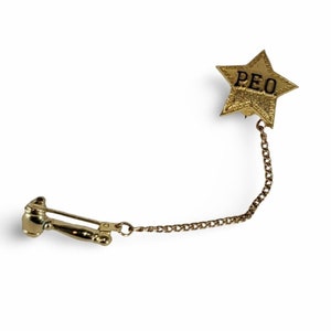 May include: A gold-colored pin featuring a star with the letters "PEO" and a gavel charm connected by a chain. The star-shaped pin has a textured surface and a pin back for attachment.