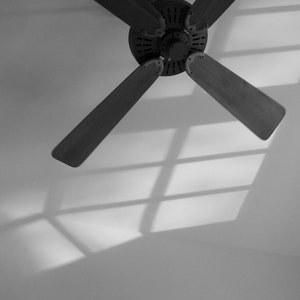 Puede incluir: Un ventilador de techo negro con cuatro aspas, visto desde abajo. El ventilador está encendido y las aspas giran. El ventilador proyecta una sombra en el techo blanco.